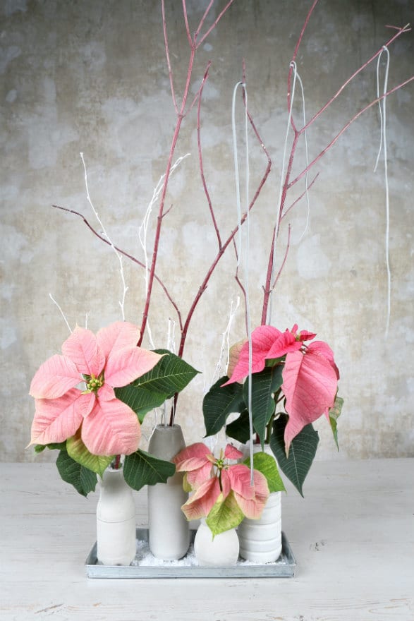 Christmas Flowers  Flower Magazine - Luxury lifestyle magazine