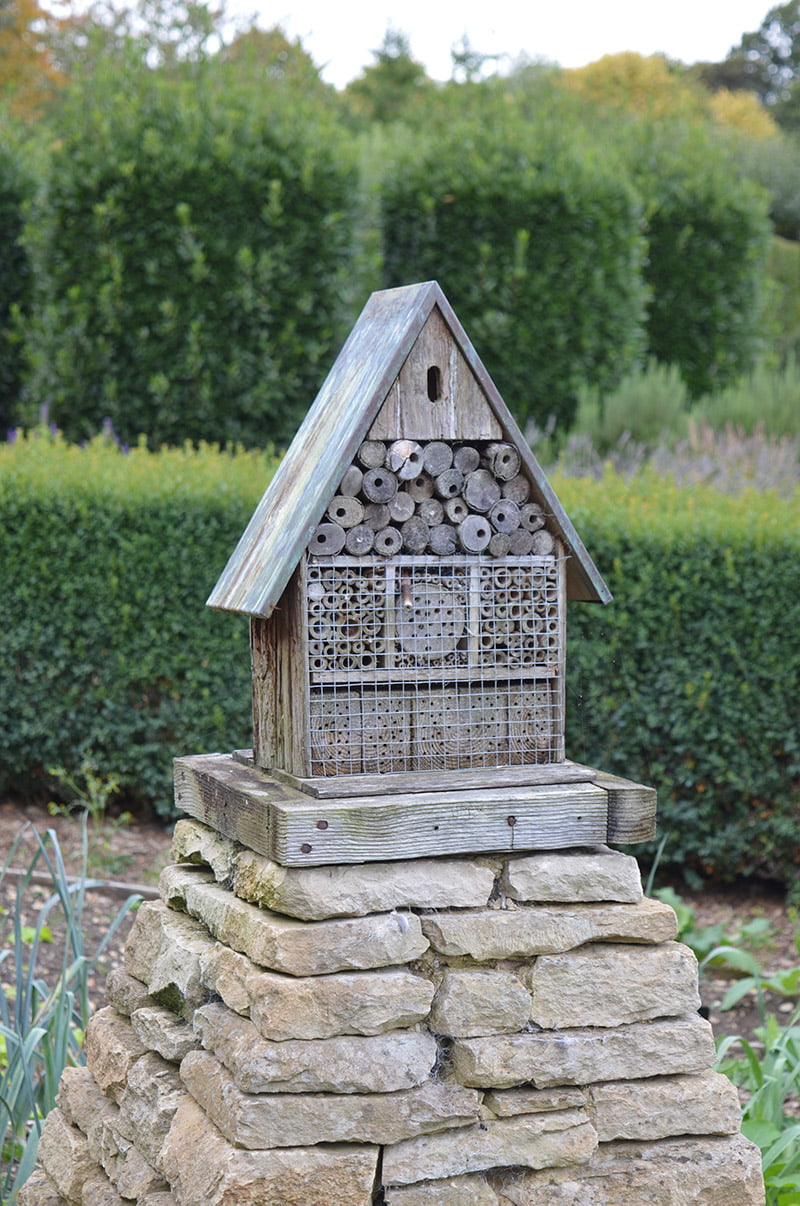 Insect house