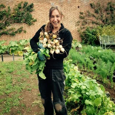 Debi Holland