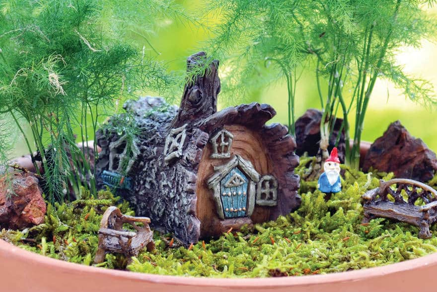 fairy garden