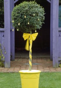 Decorated standard bush. Image: Clive Nichols