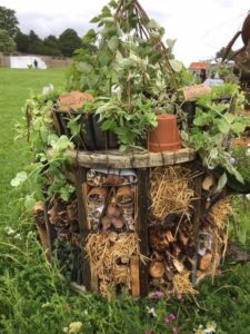 Bug Hotel Competition