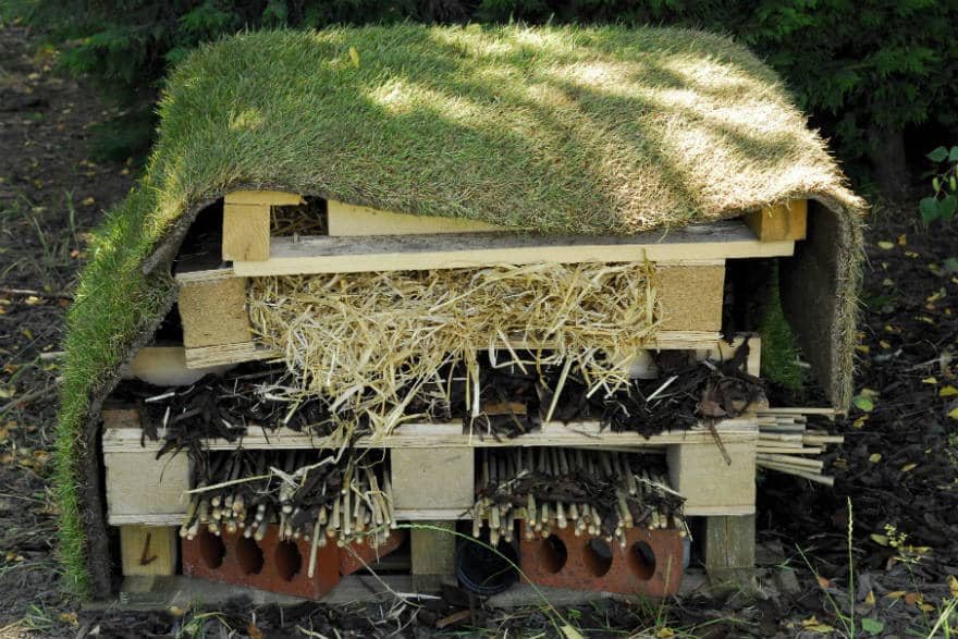 Pallet bug house