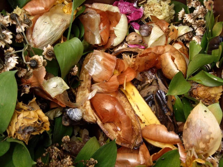 kitchen waste composting