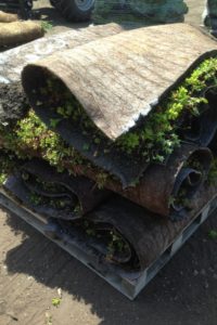 meadow mat
