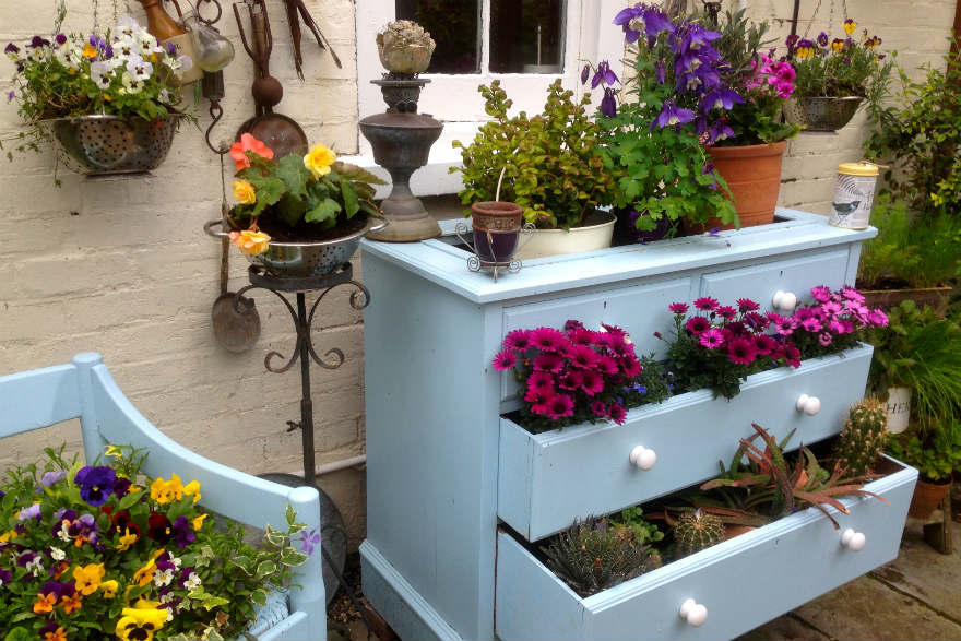 Melford Road Garden
