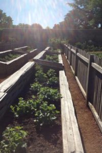 melon beds