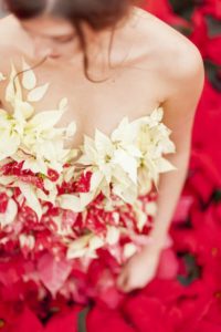 Poinsettia dress