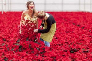Poinsettia dress