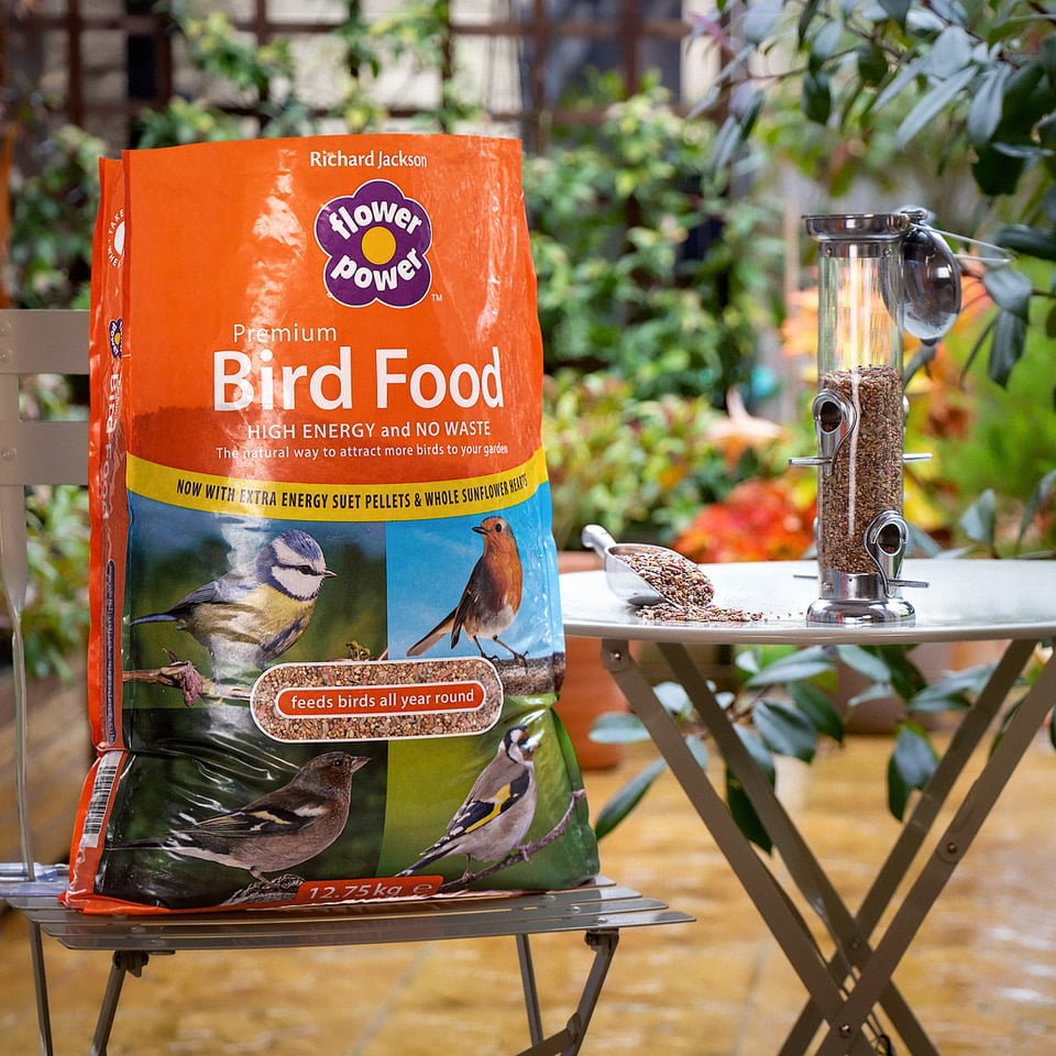 What's the Best Bird Food? Garden Birds Richard Jackson Garden