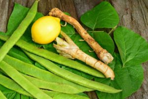 runner beans