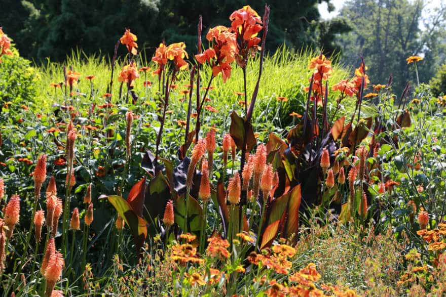 Savill Garden
