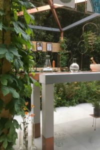 The Seedlip Garden