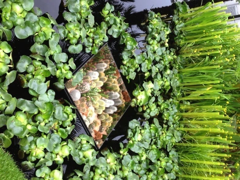 Plants have delicate and intricate needs