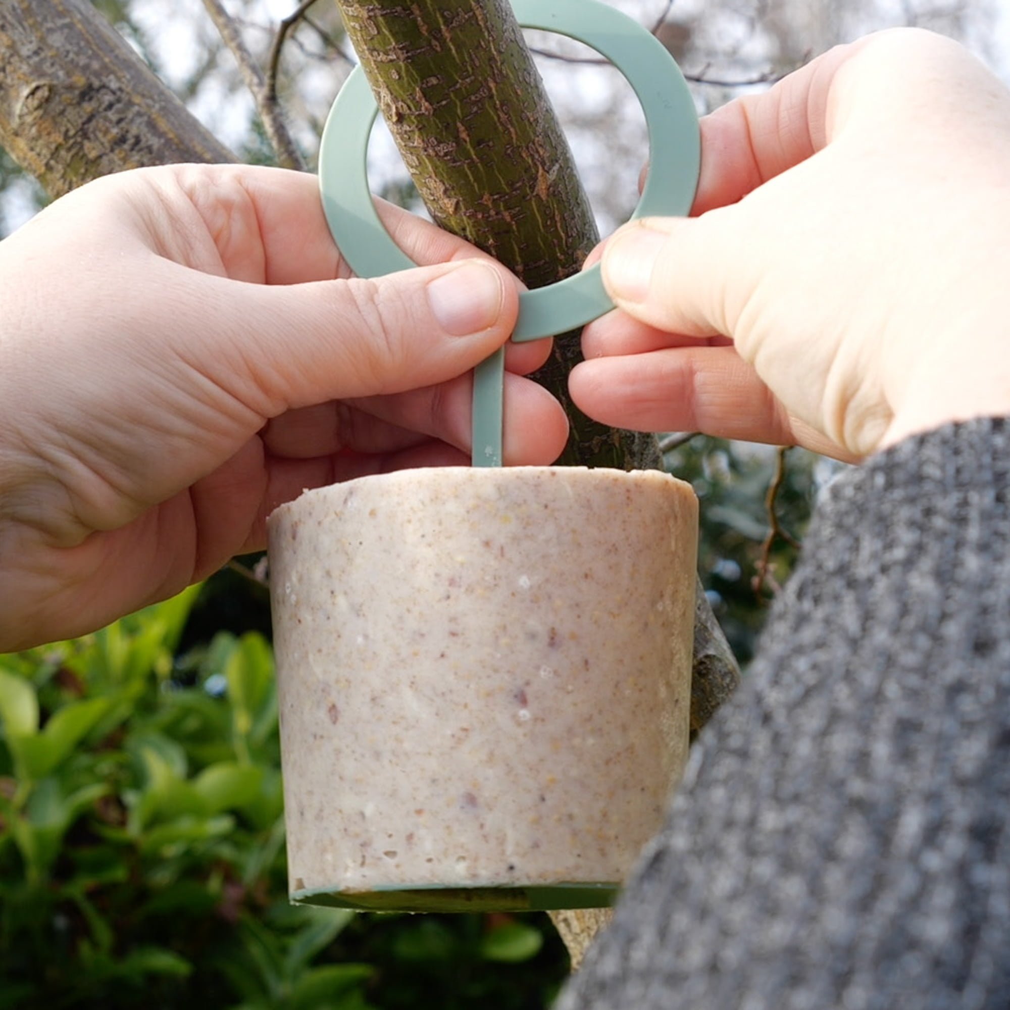 Hanging Suet Bird Food Cakes - Richard Jackson Garden