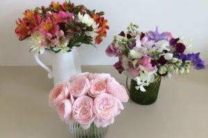 Cut flowers from Richard's garden.