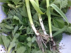 Nettles and babington leek pesto for supper
