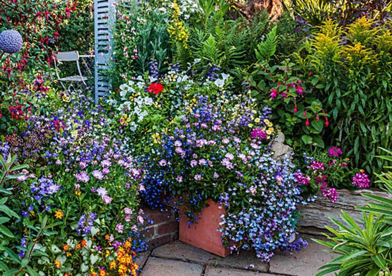 What Bedding Plants Are Best For Containers Richard Jackson Garden