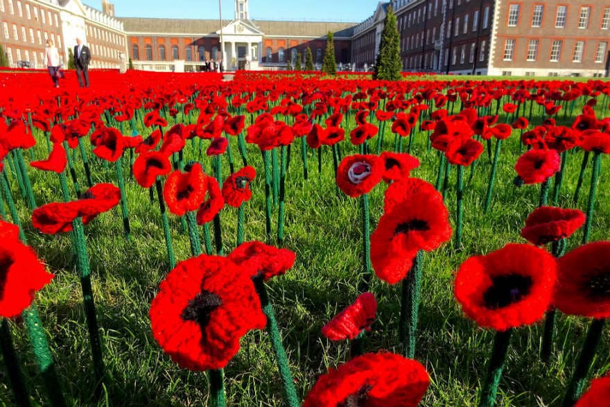 poppies at Chelsea Flower Show