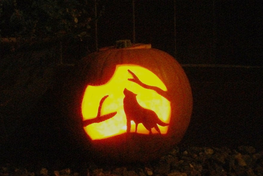 carved pumpkin