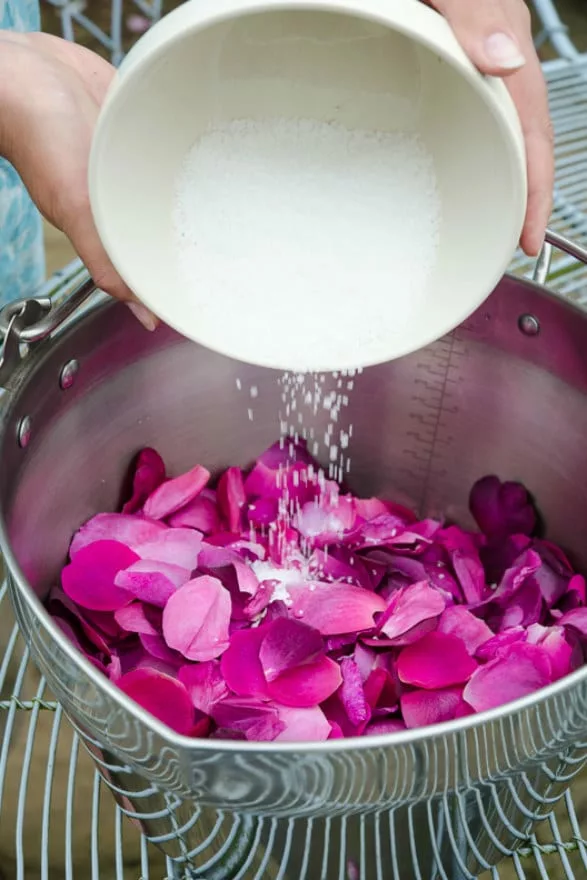 Adding sugar to rose petals to make jam