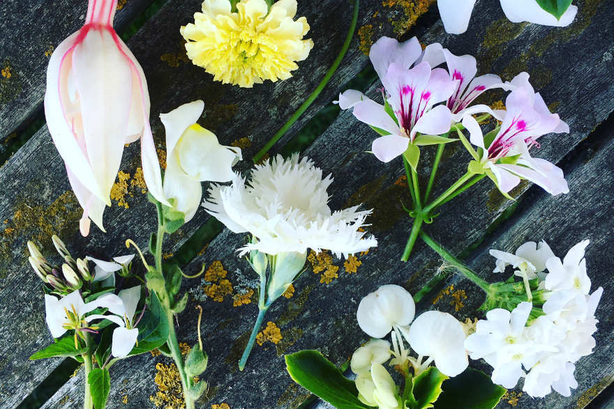 white flowers