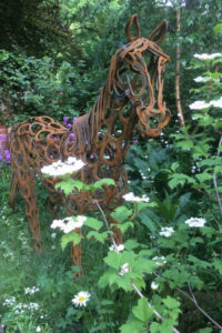 The World Horse Welfare Garden