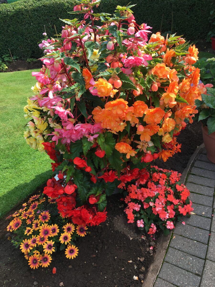 mixed flower container