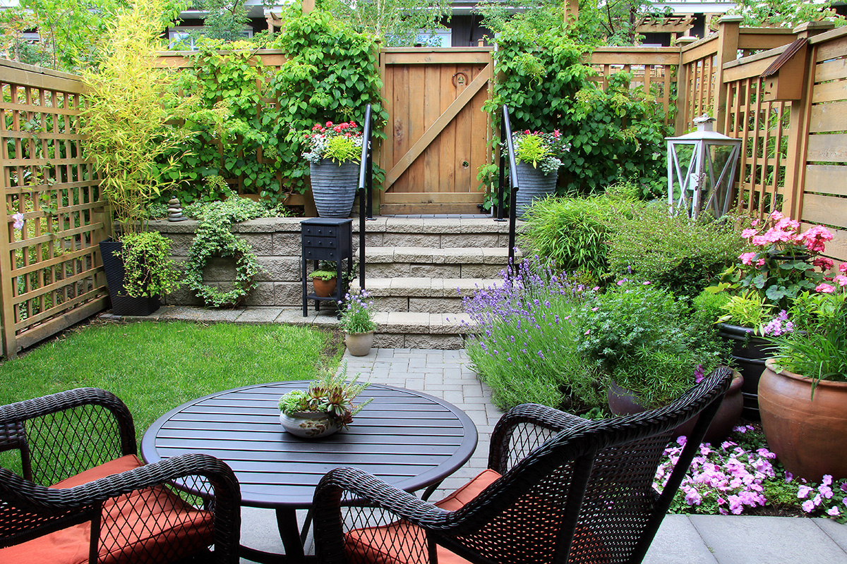 Small back garden