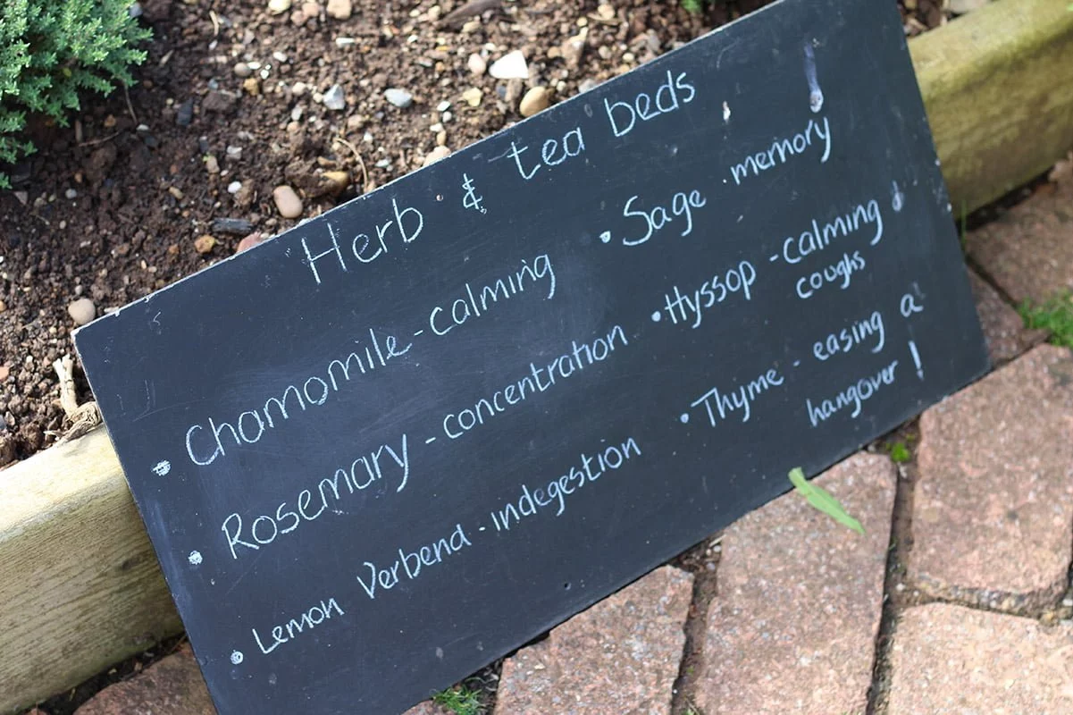 blackboard with herb names