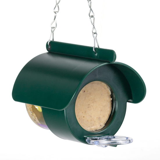 Peanut Butter Feeder for Birds the easy way to feed garden birds