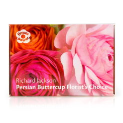 Richard Jackson Ranunculus Gift Box