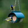 hanging peanut butter feeder with blue tits