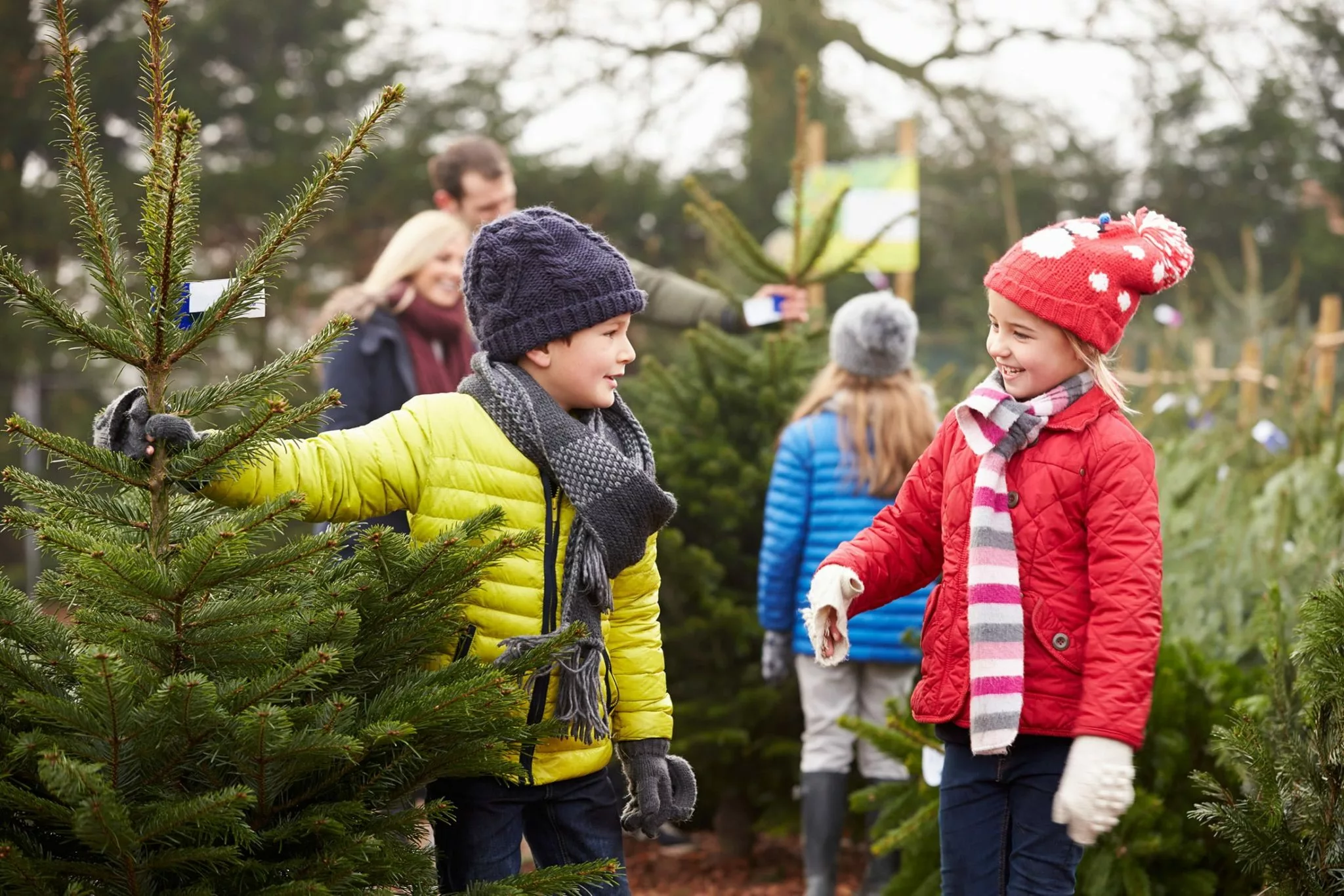 young boy and girl choosing Christmas tree