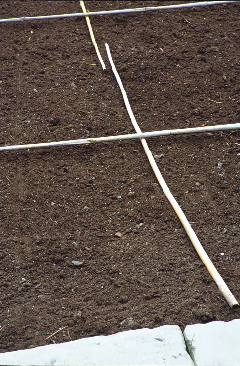 terreno contrassegnato con canne per la posa del tappeto erboso 