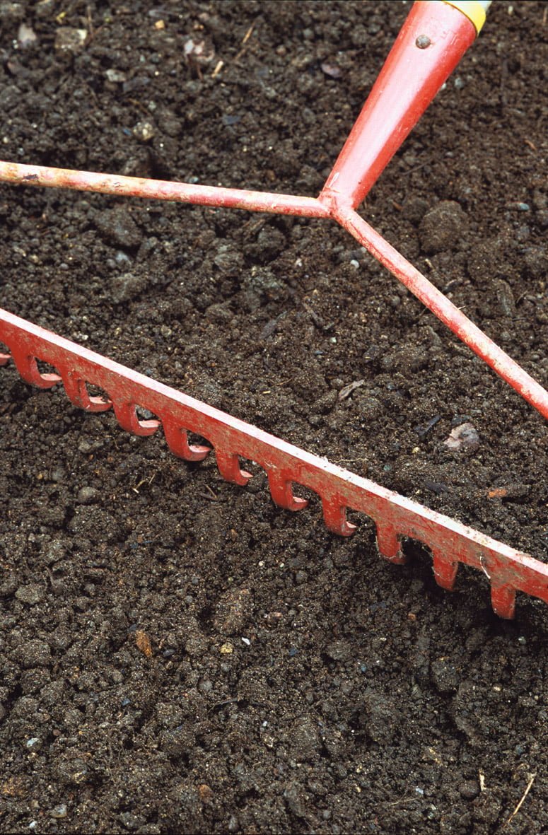 rastrellare il terreno per preparare un prato 