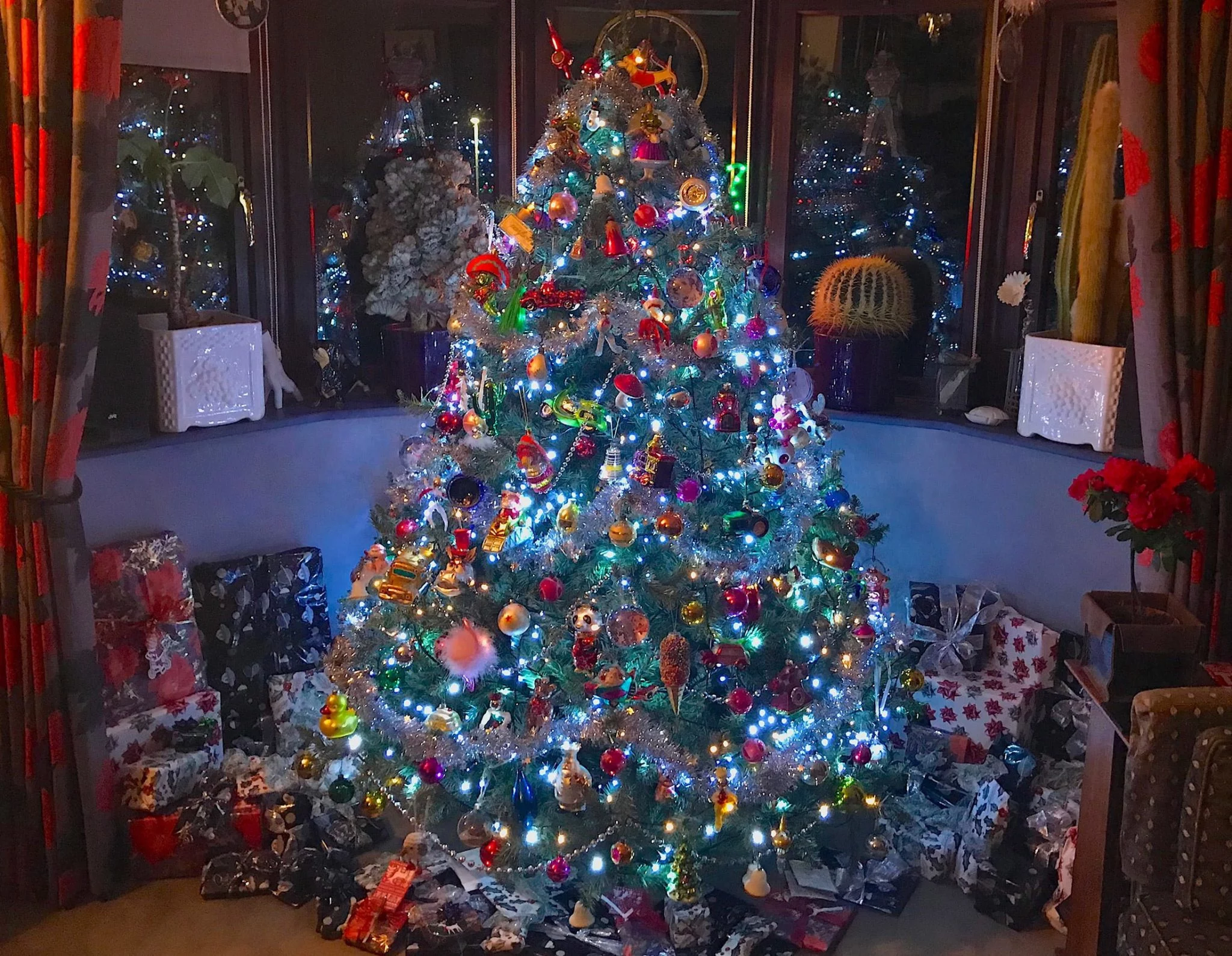 Five plants to smother weeds Richard Jackson Garden