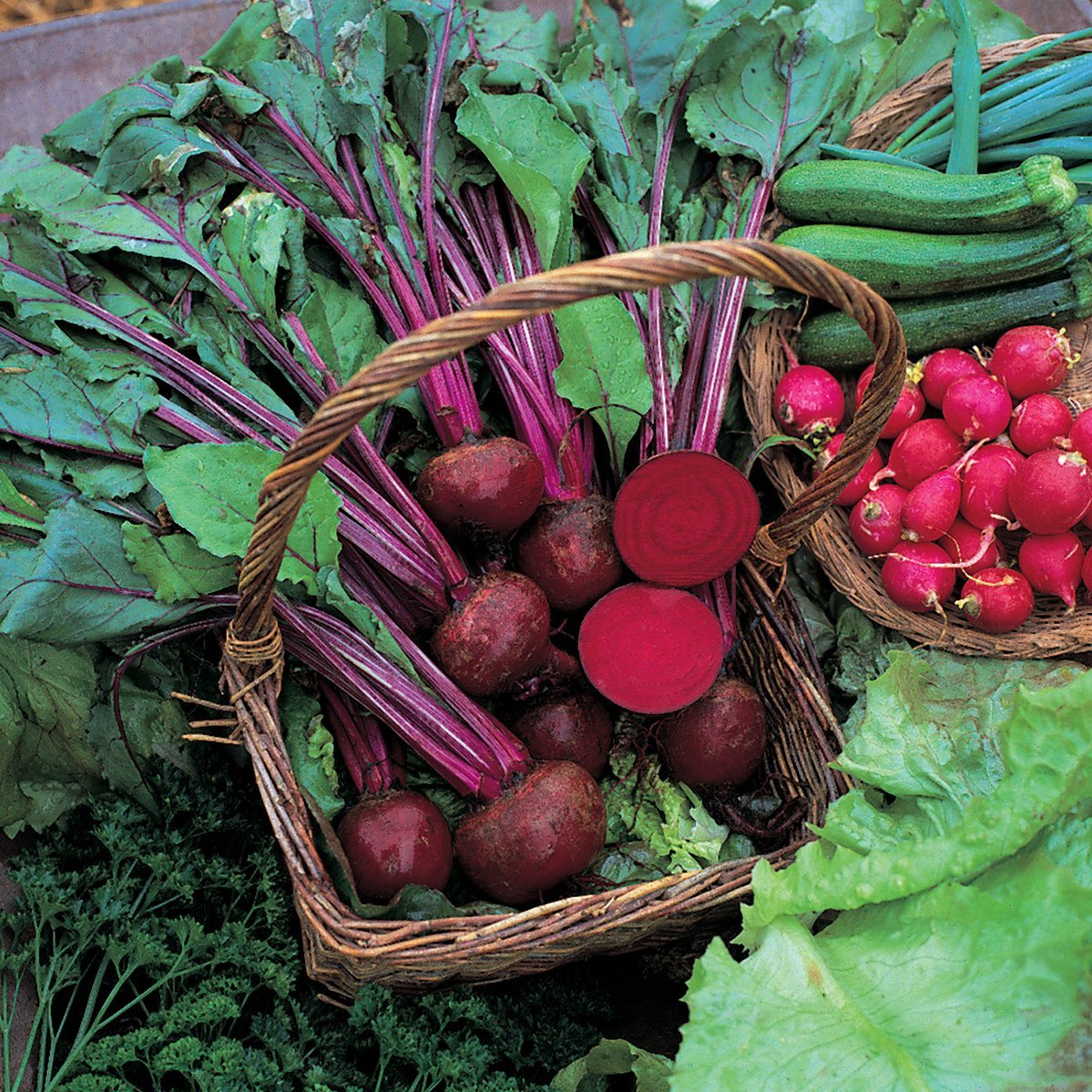 basket of harvested Beetroot Boltardy and radish