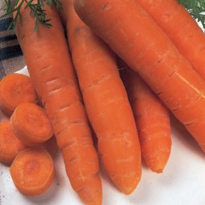 carrot autumn king