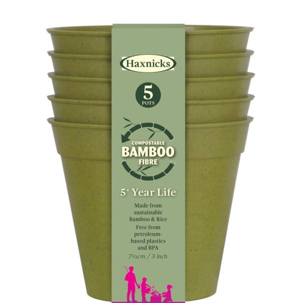 Bamboo pots sage green 3 inch