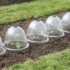 Victorian Cloches lifestyle