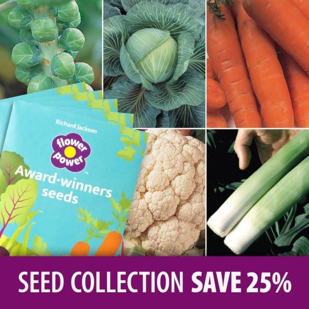 Autumn & Winter Harvest Seed Collection
