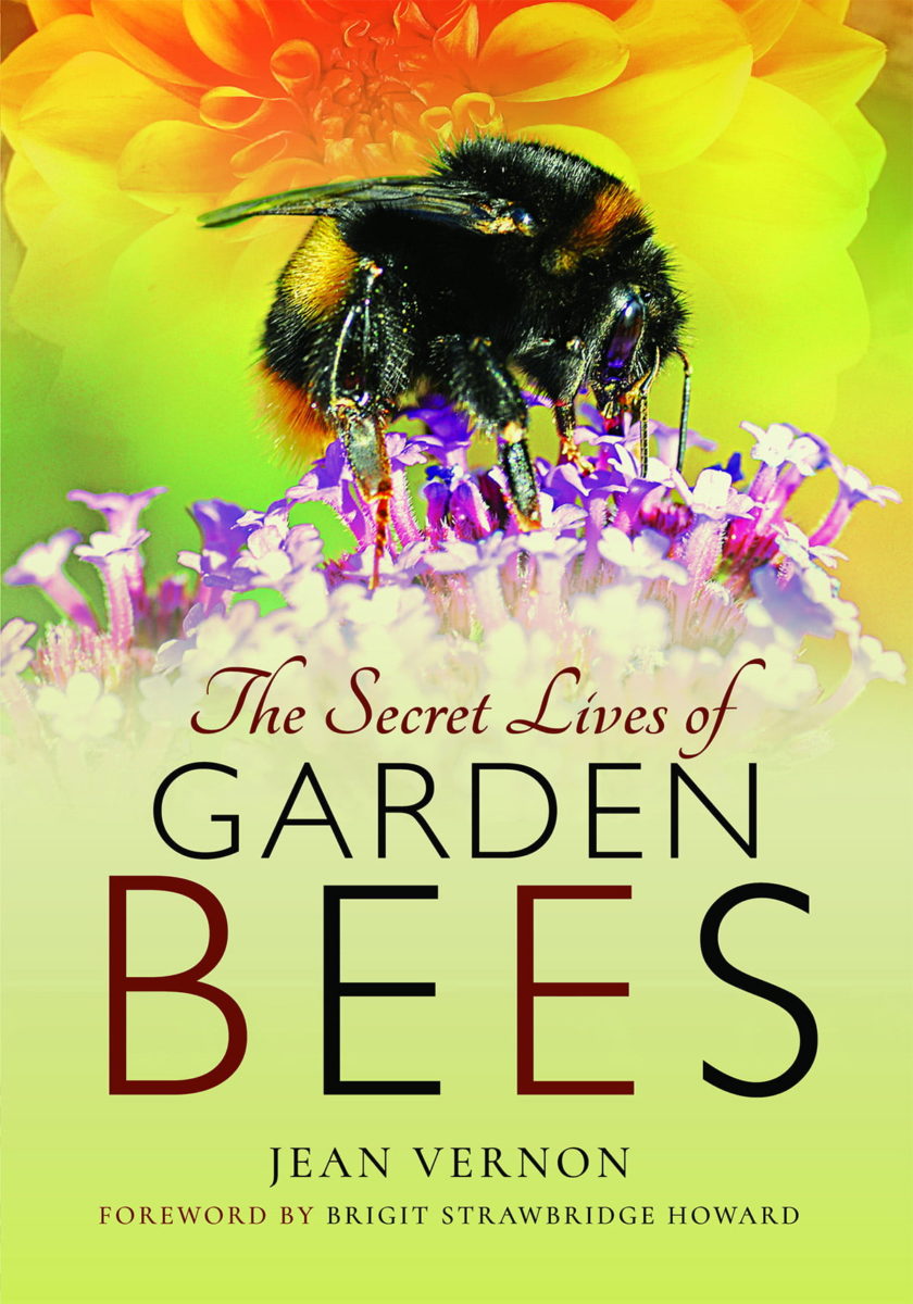 The Secret Lives of Bees book cover by Jean Vernon