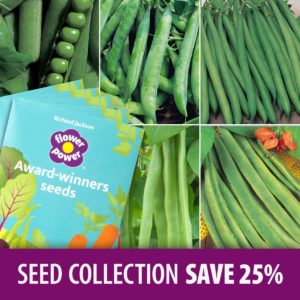 Pea & Bean Seed Collection