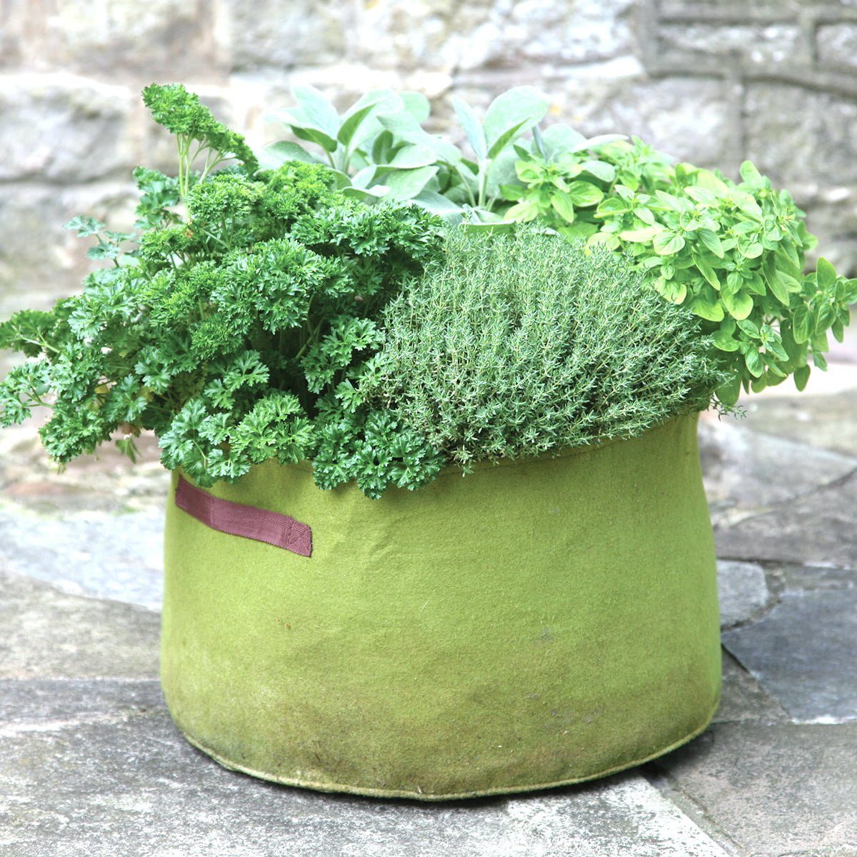 Vigoroot Herb Planter