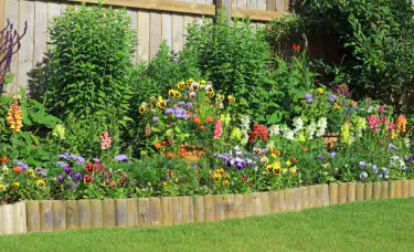 containers helping to plug gaps in colourful flower border