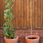 Plant twisters in pot and with tomatoes