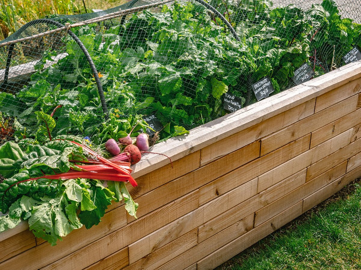 WoodBlocX raised bed