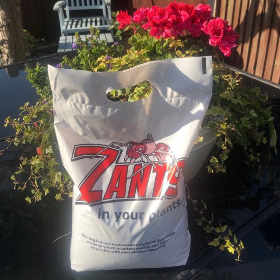 Zants in your Plants