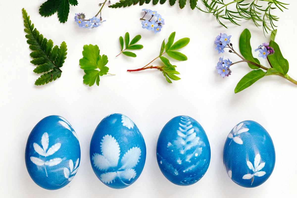 Decorated eggs using leaves and flowers